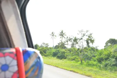 DSC_4641 (Large).JPG